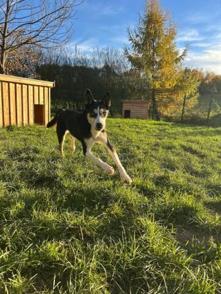 SHILA -gemeinsam Licht und Wärme erleben