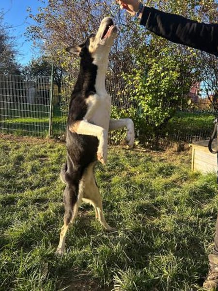 SHILA -gemeinsam Licht und Wärme erleben