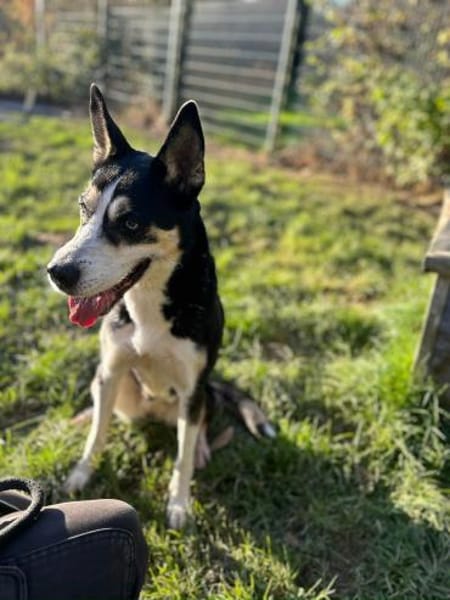 SHILA -gemeinsam Licht und Wärme erleben