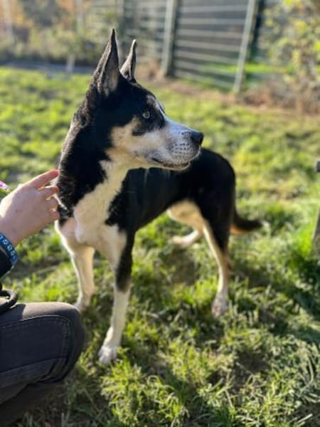 SHILA -gemeinsam Licht und Wärme erleben