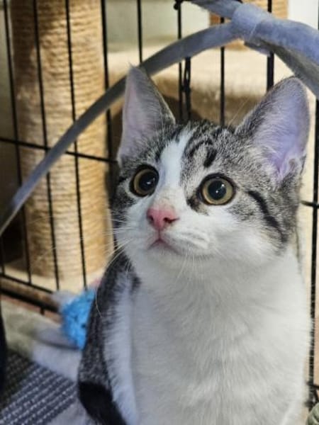 LILLY&WILLOW-kinderlieb u. unkompliziert