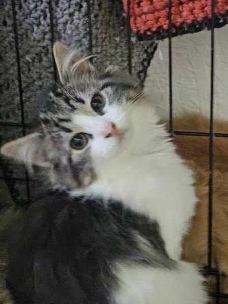 LILLY&WILLOW-kinderlieb u. unkompliziert