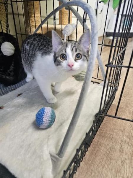 LILLY&WILLOW-kinderlieb u. unkompliziert