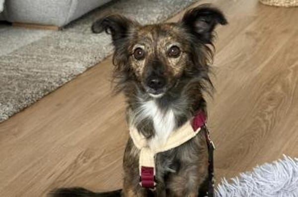 Sabina - wartet in 44799 Bochum