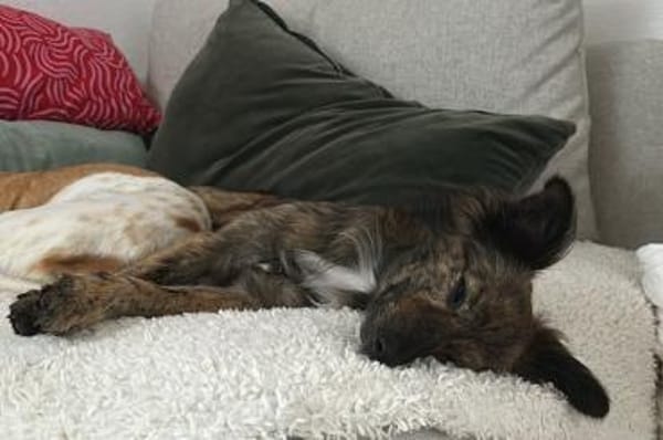 Sabina - wartet in 44799 Bochum