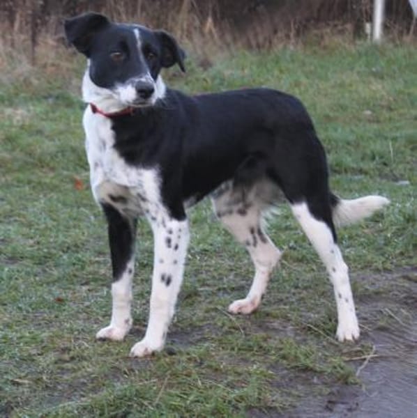 Bonnie - Traum vom eigenen Zuhause