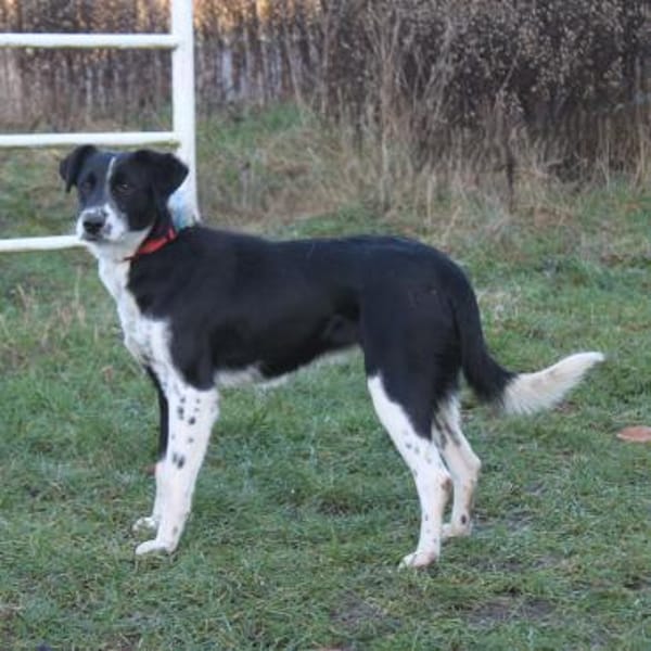 Bonnie - Traum vom eigenen Zuhause