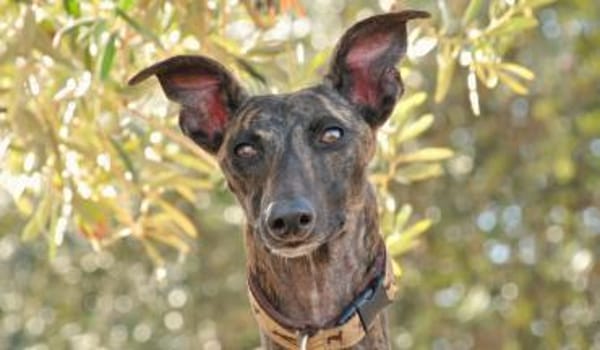 Nani wartet hier auf dich❤