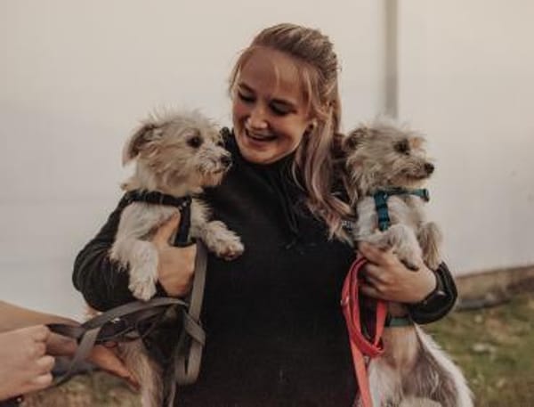 Zuckersüße Duna sucht ihre Menschen!