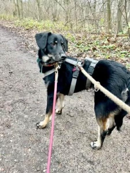 MAILEEN -mutiges, zartes Wesen-