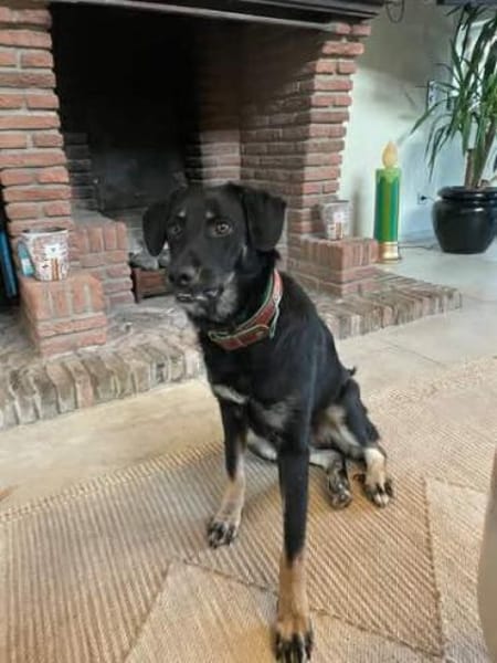 MAILEEN -mutiges, zartes Wesen-