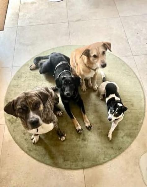 MAILEEN -mutiges, zartes Wesen-