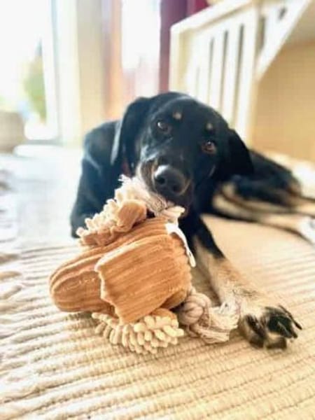 MAILEEN -mutiges, zartes Wesen-