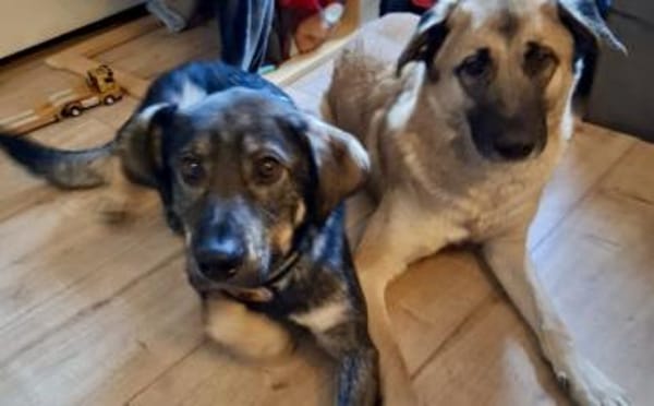 Matteo wartet auf seine Familie