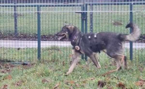 Matteo wartet auf seine Familie