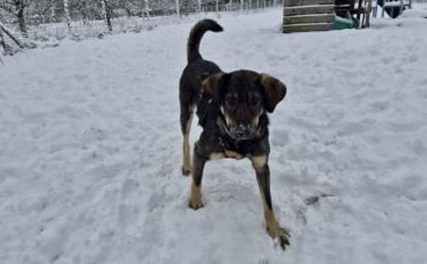 Matteo wartet auf seine Familie