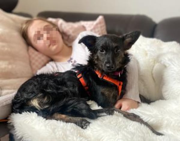 Tashi  💕kleine Kämpferin (E)