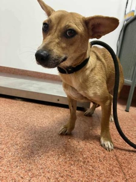 Nelly möchte die Welt entdecken!