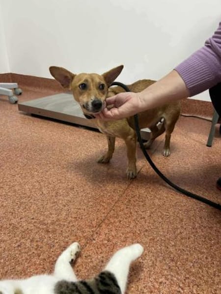 Nelly möchte die Welt entdecken!