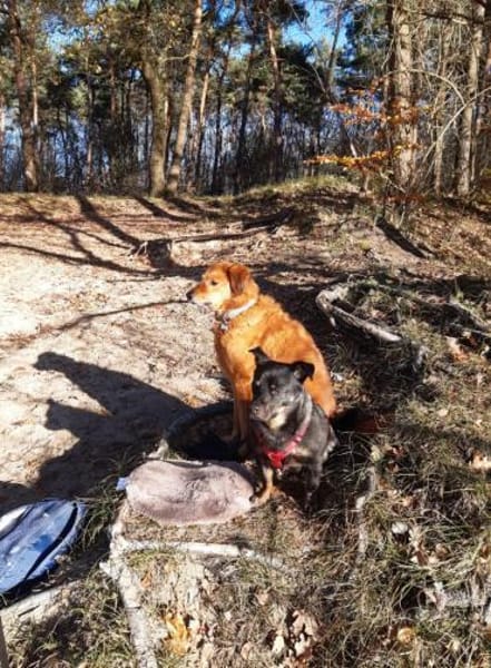 Olli - menschenbezogen und aktiv