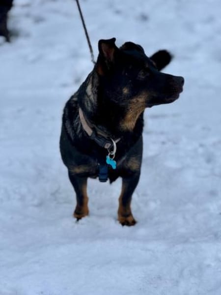 Olli - menschenbezogen und aktiv