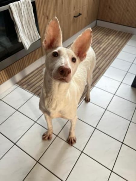 Susona - liebevoll und gemütlich