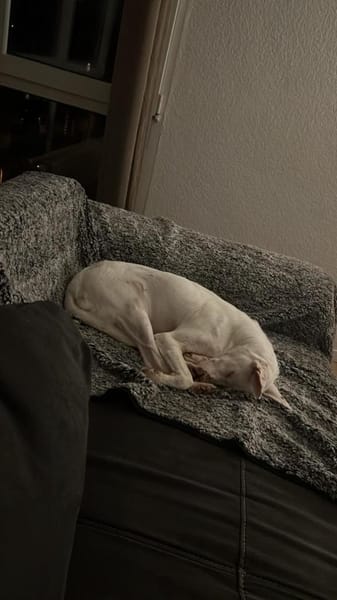 Susona - liebevoll und gemütlich