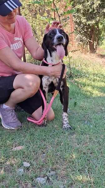 Morena auf Pflegestelle in Deutschland