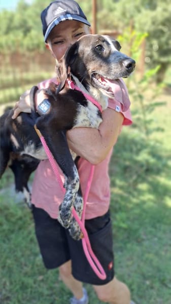 Morena auf Pflegestelle in Deutschland