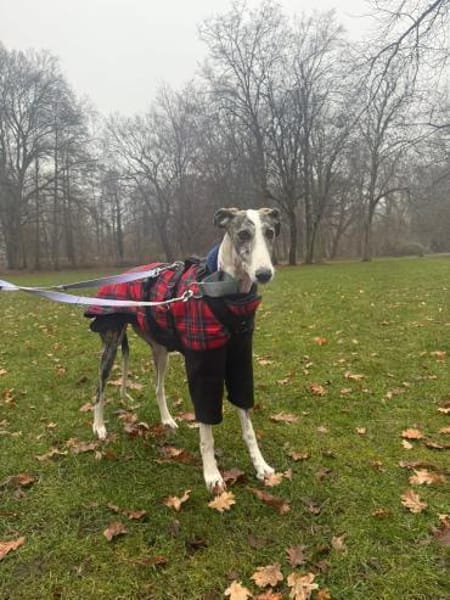 Hypathia - kontaktfreudig und freundlich