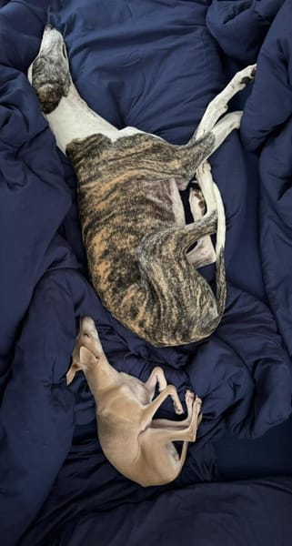 Hypathia - kontaktfreudig und freundlich