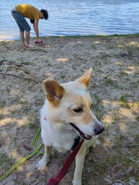 HERMES braucht stabiles Zuhause 🆘🆘