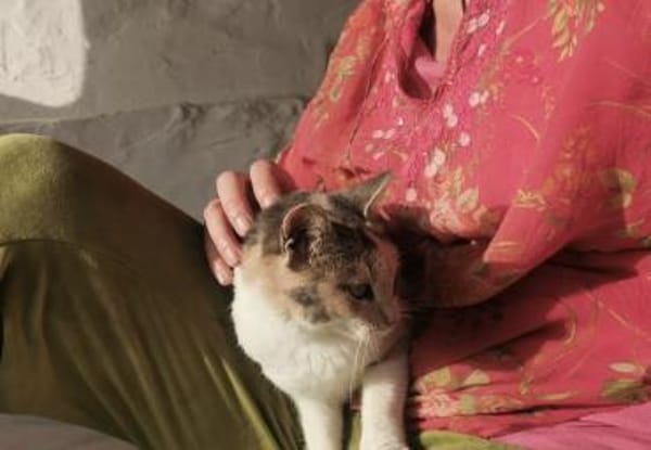 Schöne Bella sucht ein Zuhause!