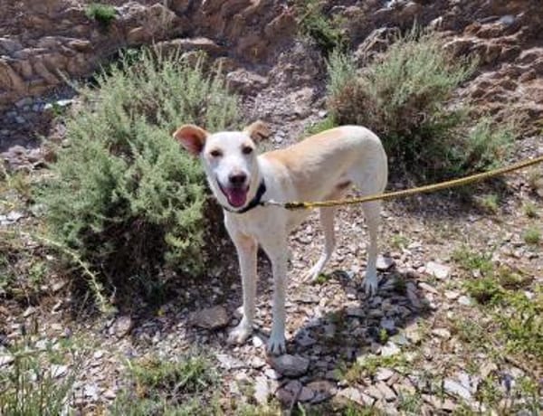 🐾FEIVEL🐾 sucht geduldige Menschen