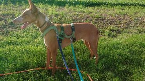 Xenon - fröhlich und sozial