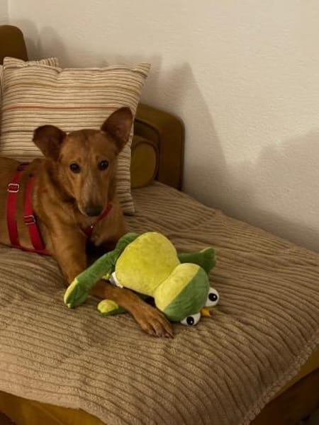 Mario 2 - lieb, sozial und sportlich