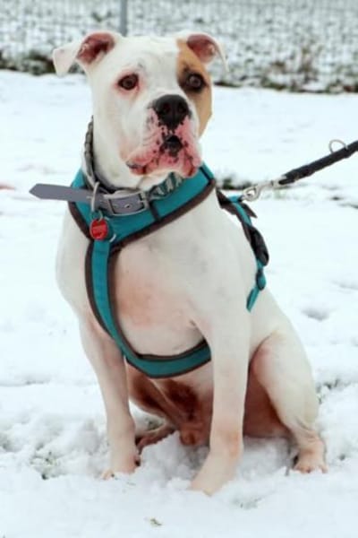 Maddox möchte endlich ankommen