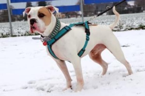 Maddox möchte endlich ankommen