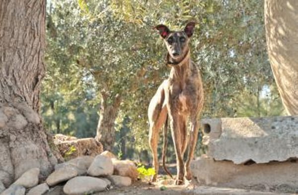 Nani wartet hier auf dich❤