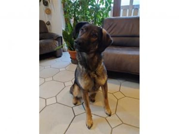 Edith  wartet in 56379 Oberwies