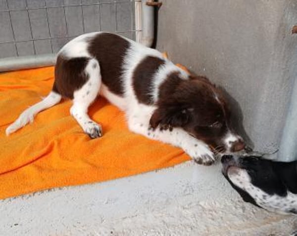 Moly wünscht sich eine Familie