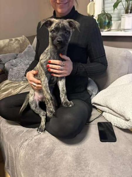 🐾 Luci  4 Monate kleine Zaubermaus