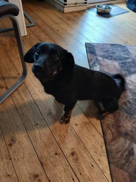 Süße Lea❤ sucht Heim mit Kuschelflat