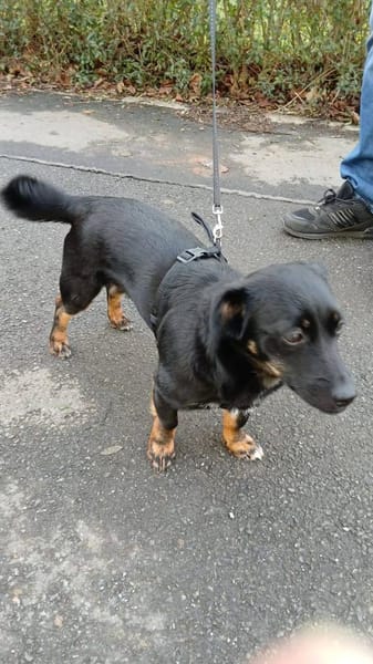 Süße Lea❤ sucht Heim mit Kuschelflat