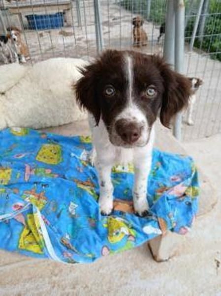 Mailo - einfach zum knuddeln