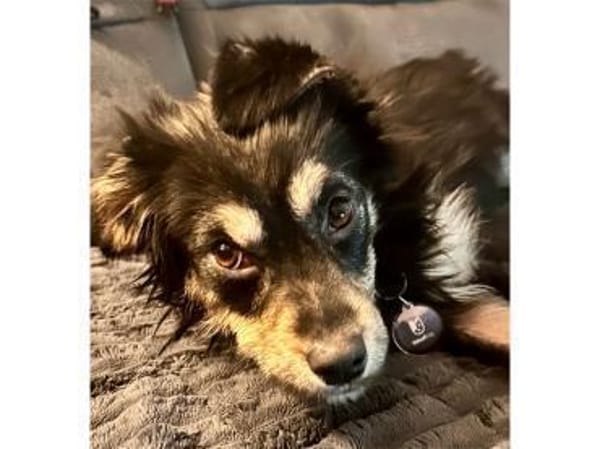 Thekla -  wartet in 15848 Beeskow