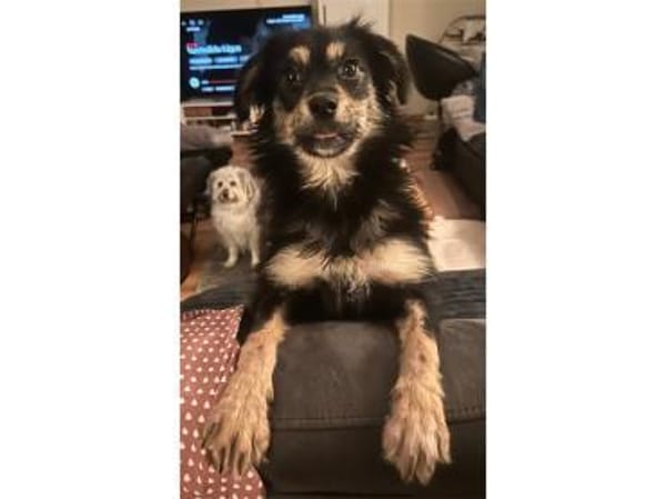 Thekla -  wartet in 15848 Beeskow