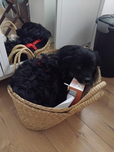 sehr lieber Tommy auf PS in 90562