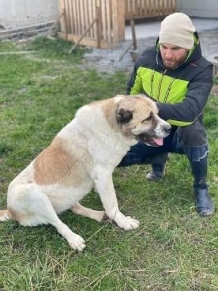 Regina  sanfte Seele sucht Gnadenplatz