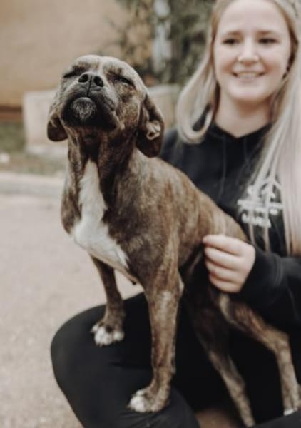 Kuschelmaus Rina sucht ihre Menschen!